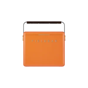 Gin Trunk / Orchard Orange